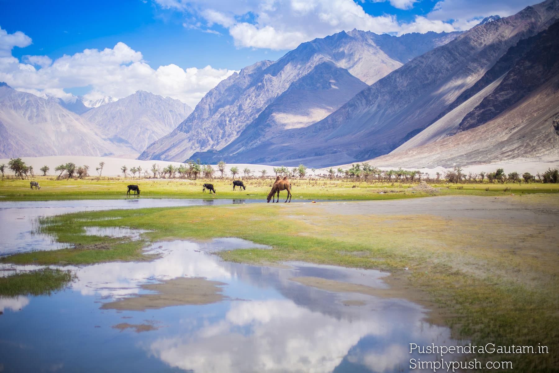 mountains-nubra-valley-pics-best-travel-photographer-india-pushpendragautam-pics-event-photographer-india